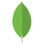 mongodb