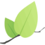 Leaflet