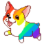 Parti Corgi